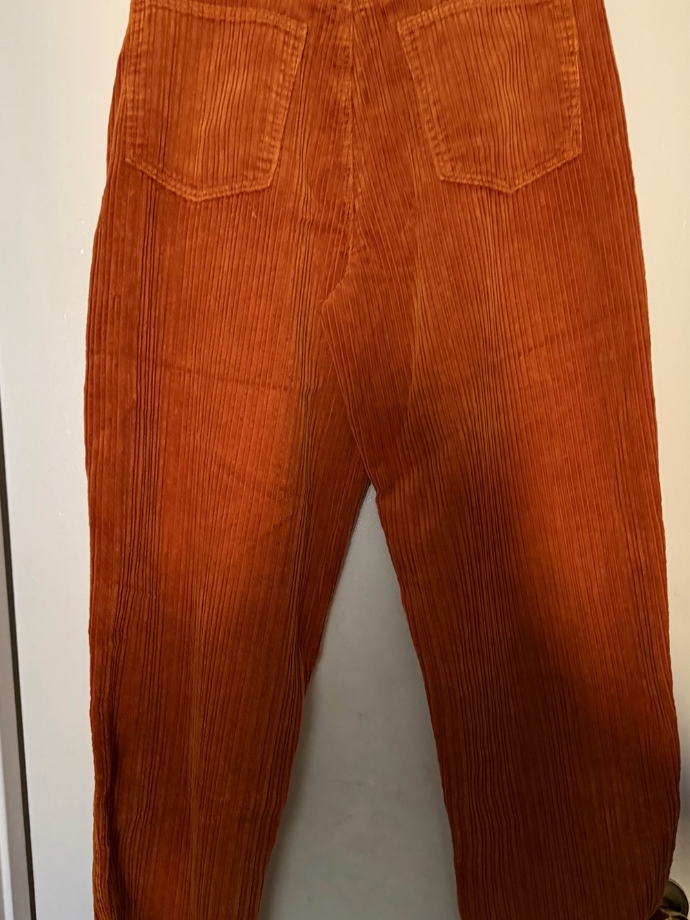 BDG baggy Corduroy Pants in Burnt Orange - Picture 3 of 10